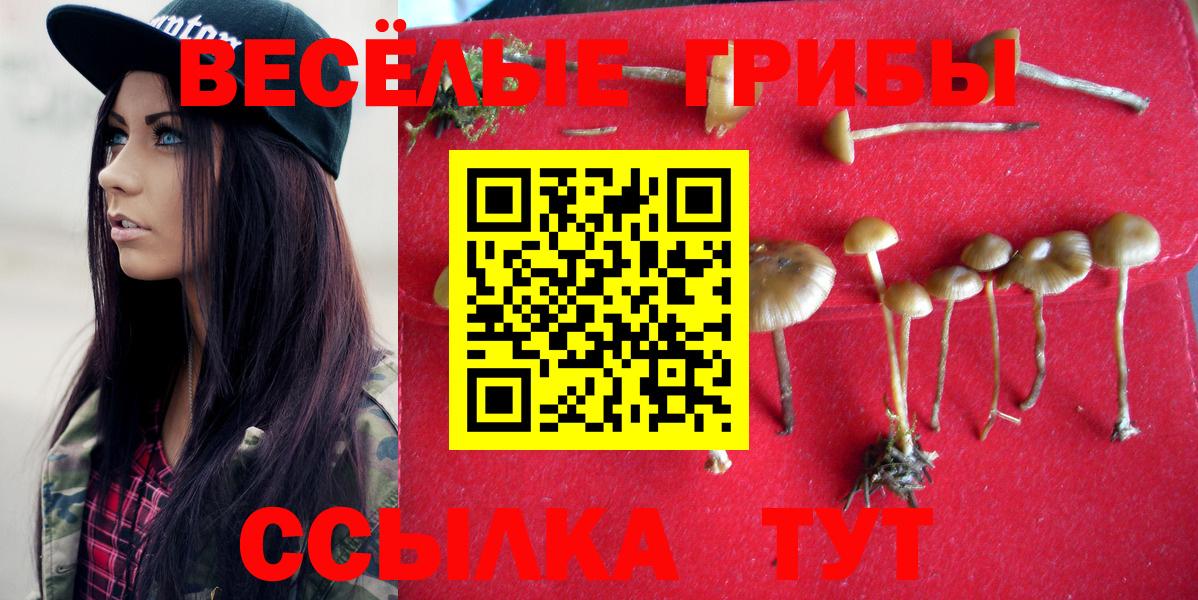 Алейск  Псилоцибиновые грибы Psilocybine cubensis  Вход с VPN 